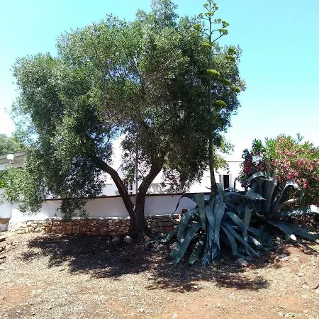 Trullo Gioioso * Ostuni