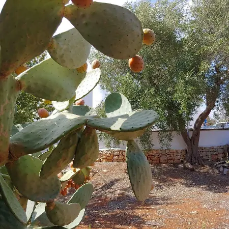 Holiday home Trullo Gioioso